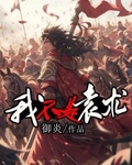 我不是袁术