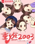 重燃2003