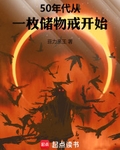 50年代：从一枚储物戒开始