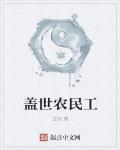 盖世农民工
