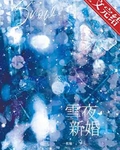 雪夜新婚