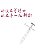 中土公主模拟器[魔戒]