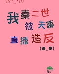 我秦二世被天幕直播造反