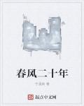 春风二十年