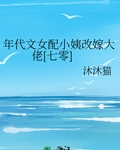 年代文女配小姨改嫁大佬[七零]