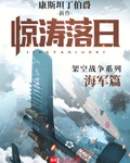 惊涛落日笔趣阁