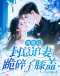 离婚后，封总追妻跪碎了膝盖