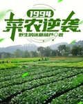 1994：菜农逆袭