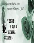 散文随笔是什么意思