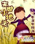 末世小地主小说
