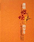 激情燃烧的岁月