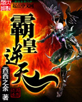 霸皇小说
