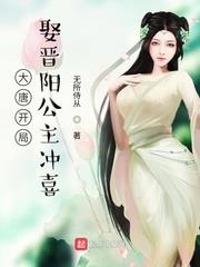 大唐开局娶晋阳公主的小说