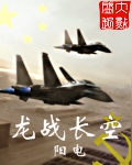 龙战长空TXT免费下载