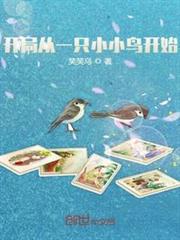 开局从一只小小鸟开始免费阅读