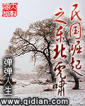 民国崛起之东北虎啸TXT下载