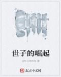 世子的崛起笔趣阁无弹窗