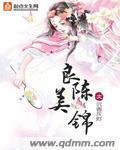 良陈美锦沉香灰烬小说