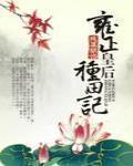 雍正皇后种田记TXT下载百度云资源
