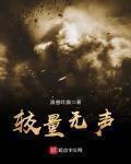 较量无声国安纪录片完整版