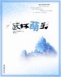 武林萌主小说
