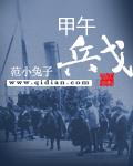 甲午兵戈 小说