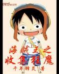 海贼之收集狂魔
