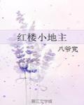 红楼小地主 八爷党小说