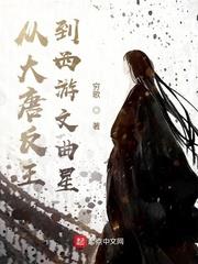 大唐从大唐开始轮回