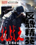 抗战之反恐精英小说
