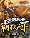 烽火大明皇猛