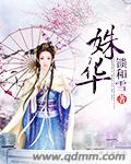 姝华裴时砚小说叫什么名字啊