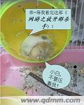 网游之放开那杀手 清歌流觞