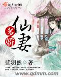 仙妻啥意思