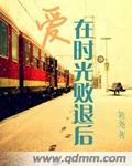 爱在时光败退后小说