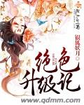 绝色升级系统