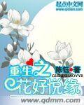 重生之花好月圆 弱颜