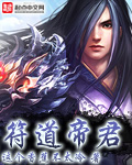 符道至尊