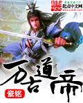 万古道帝小说叶玄免费阅读