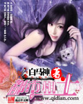 都市相士的小说