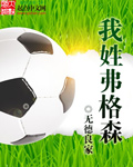 我姓弗格森TXT精校下载