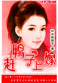 赶鸭子上嫁 小说