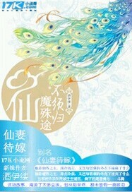仙妻待嫁