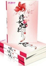 小说将女