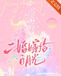 二婚嫁给白月光
